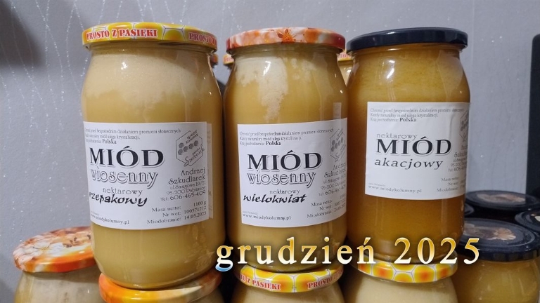 Pasieka Szkudlarek - Łask