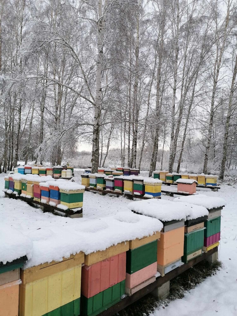 Pasieka u Darka Miodowe Opowieści - Białogard