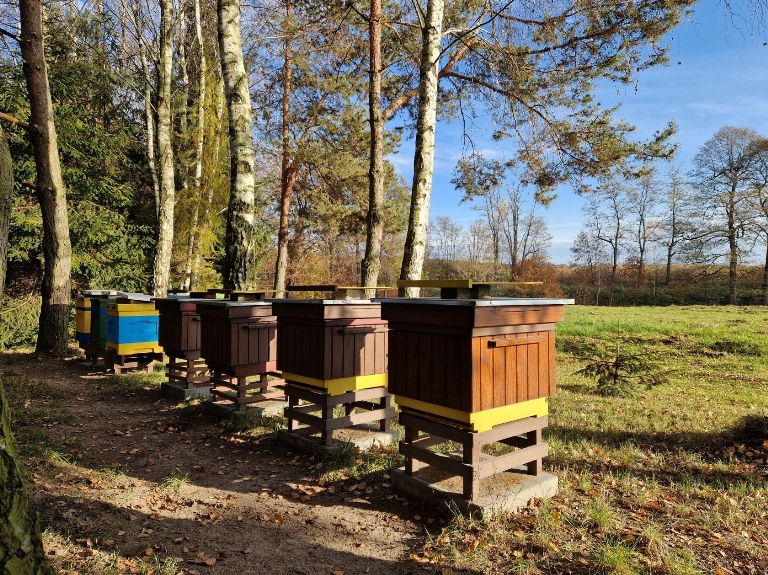 Pasieka Za Ogrodem - Niegoszowice