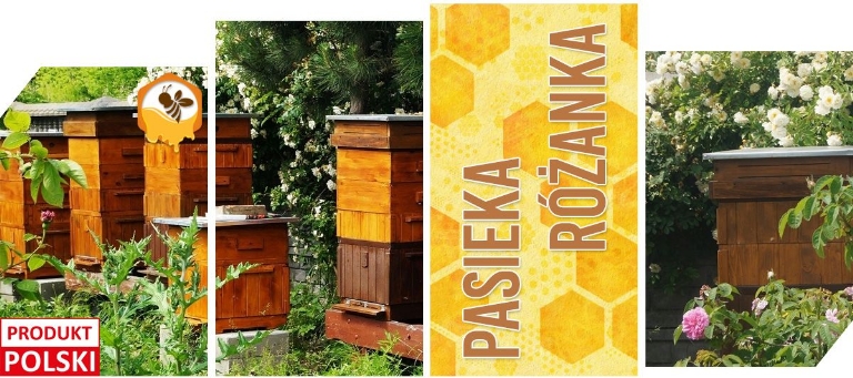 Pasieka Różanka - Dobrzelin
