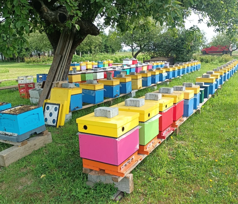 Pasieka Pszczółka Pola  - Gdów 