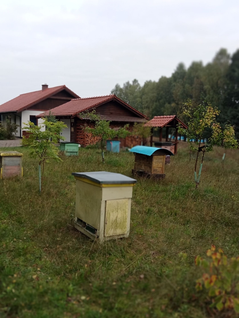 'Miodowy zakątek' - Lubasz
