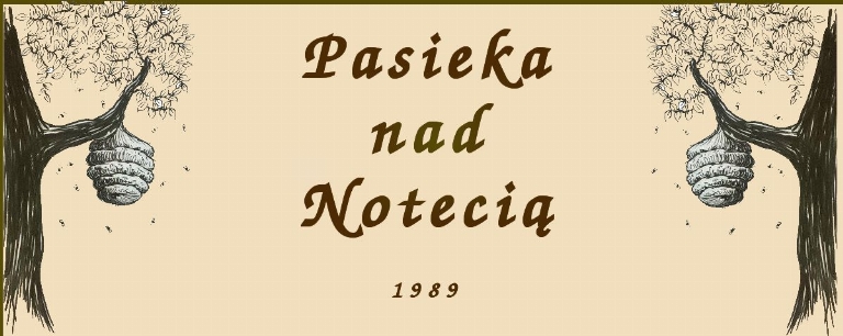 Pasieka nad Notecią - Ujście