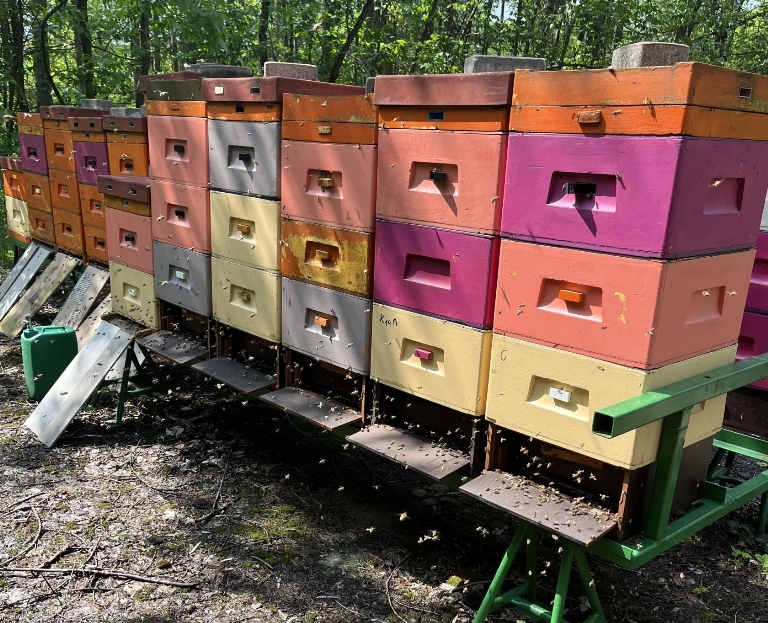 @Miodynka - Piotrków Trybunalski