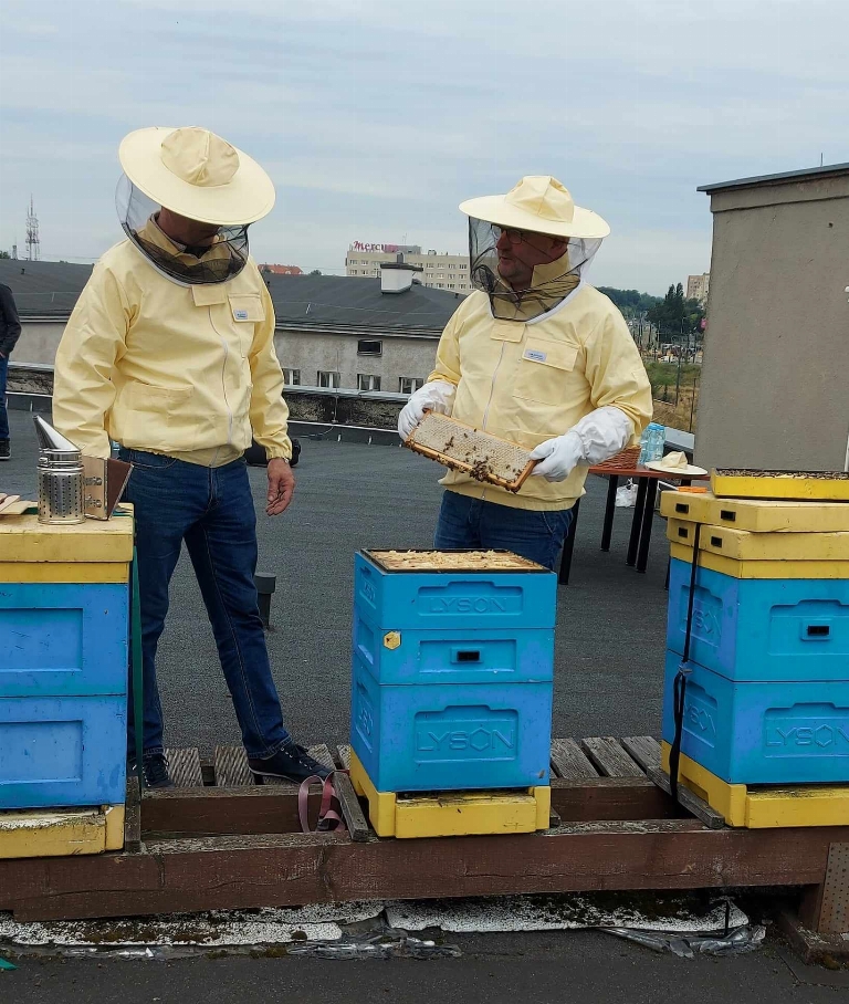 Pasieka Paul  - GNIEWKOWO 