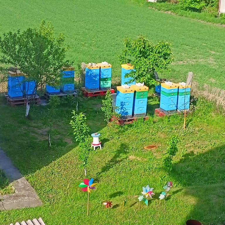 Pasieka z Banatek  - Zakrzów 