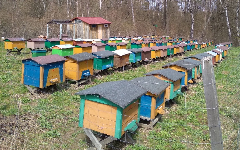 Pasieka Jaworscy - Chrzanów 