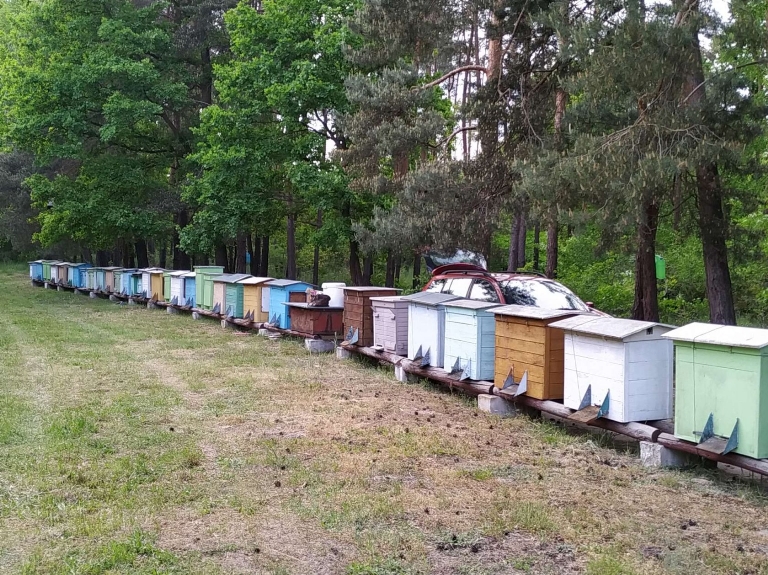 PASIEKA U JAKUBA - Środa Śląska