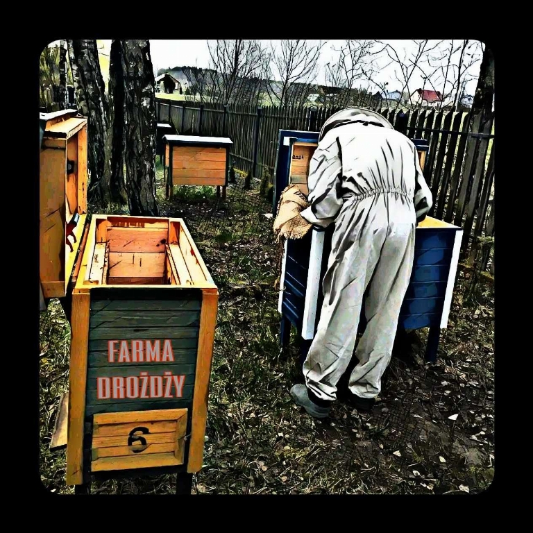 FARMA DROŻDŻY Pasieka Rodzinna  - Adamów 
