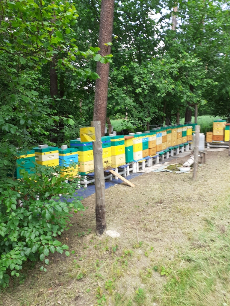 Strzelce Opolskie Nowa Wieś - strzelce opolskie